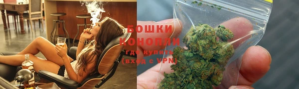 молекула духа Богородск