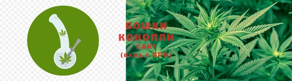 мяу мяу мука Тихвин